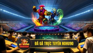 Đá Gà Trực Tuyến Nohu90 - Đấu Trường Đỉnh Cao Châu Á