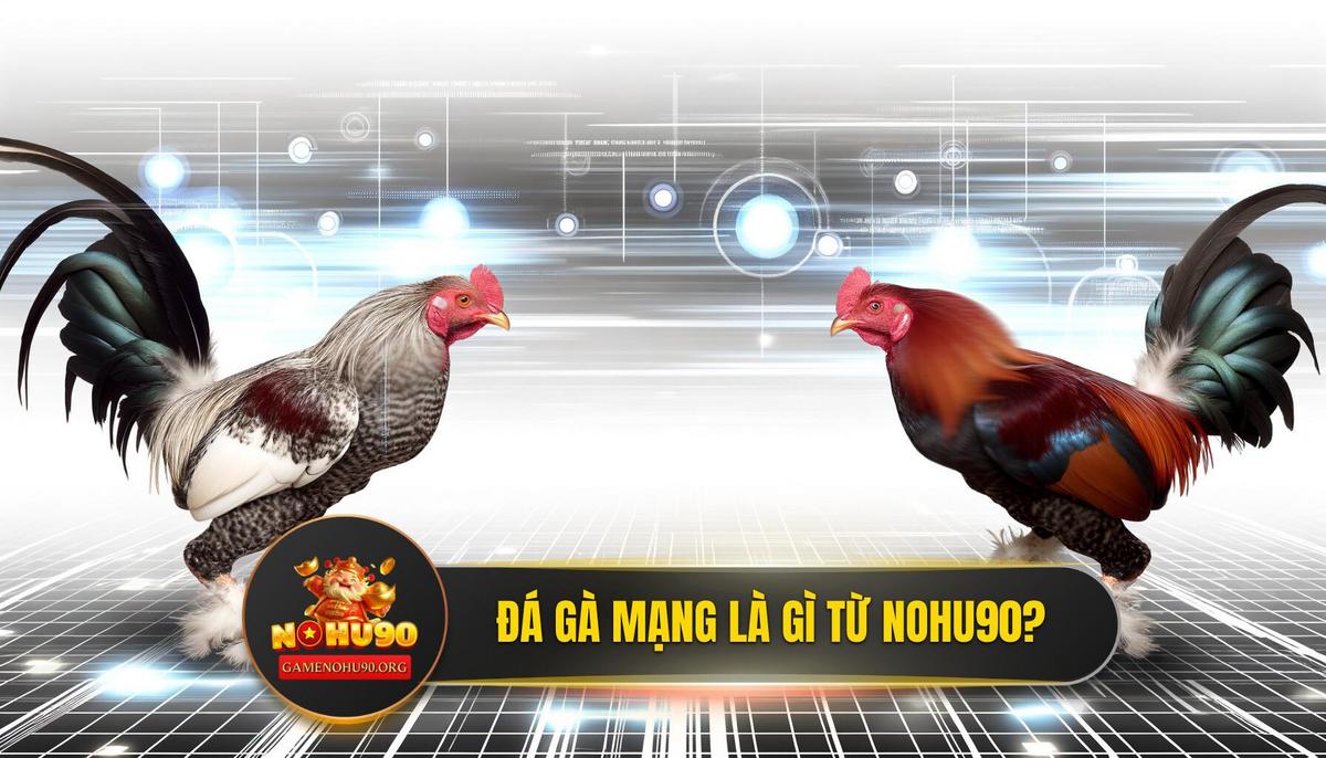 Đá gà mạng là gì? Định nghĩa chuẩn xác nhất từ NOHU90