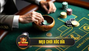 Bật Mí 10+ Mẹo Chơi Xóc Đĩa Từ Cao Thủ NOHU90 - Bất Bại 2025