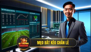 Mẹo Bắt Kèo Chẵn Lẻ Bất Bại 2024 Từ Chuyên Gia NOHU90