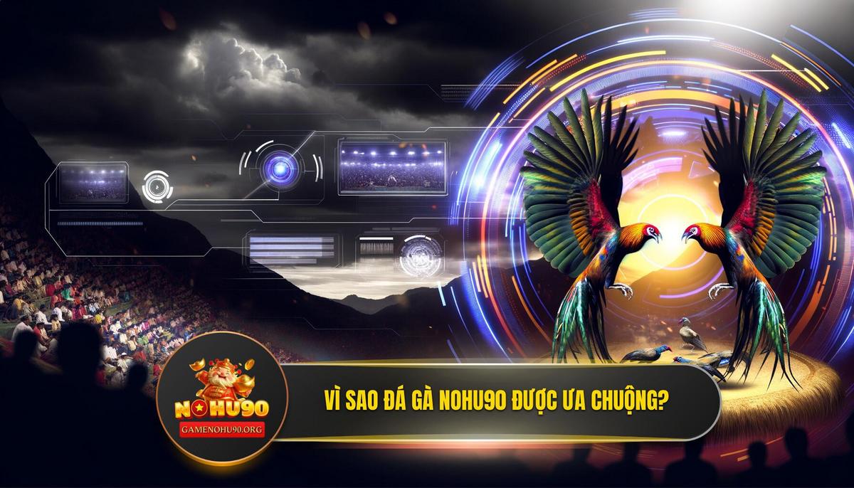 Tại Sao Đá Gà NOHU90 Lại Trở Thành Lựa Chọn Hàng Đầu?