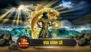Vua Đánh Cá – Bí Kíp Săn Rồng Vàng Từ Chuyên Gia NOHU90